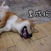 朋友圈累成狗的配图 加班累成狗发说说搞笑配图_微信头像图片大全