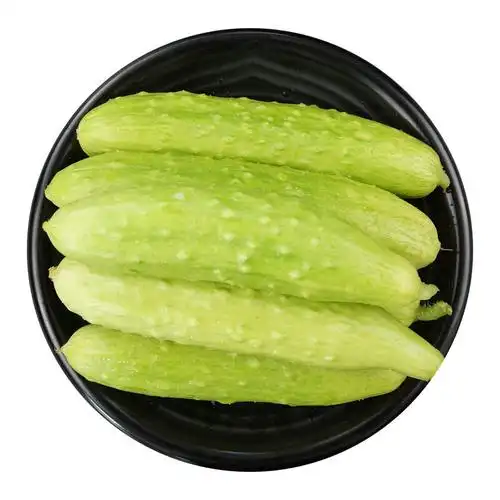 严选|山东特产白玉奶油黄瓜|采用豆杆豆粕生态种植|好吃有营养