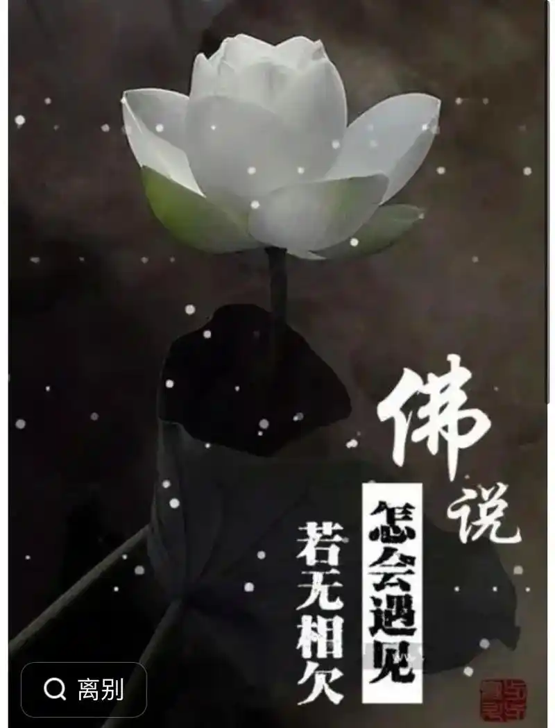 今天是5月16日,星期二,农历三月二十七.早安,人活着没必要 - 抖音