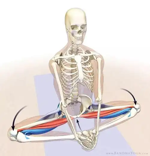 高尔夫体能视频分析系列:右髋内旋的重要性 - 知乎