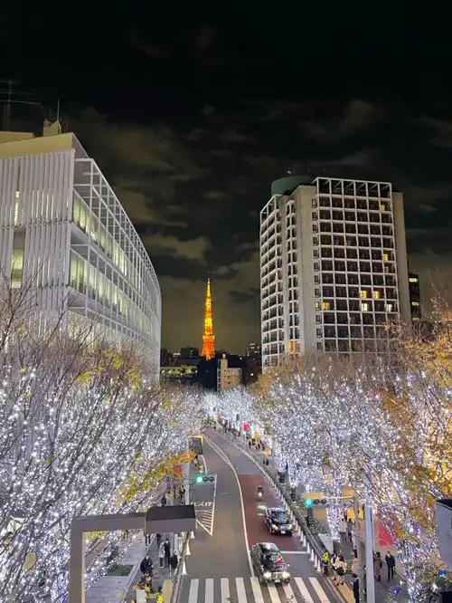 东京的圣诞节完全攻略￤六本木