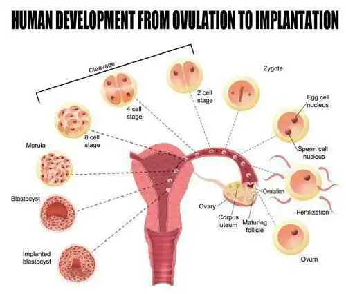 子宫干净的女性,有这些表现: ① 嘴唇红润; ② 额头,脸上不易长痘痘