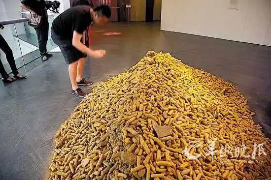 广美教授艺术展展出"狗屎" 不肯更改名字终惹官司