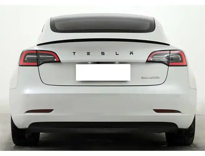 适用于特斯拉车标特斯拉tesla model3 y真碳纤维前车标车尾字母替换式
