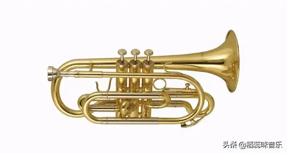 铜管乐器有哪些铜管乐所有乐器