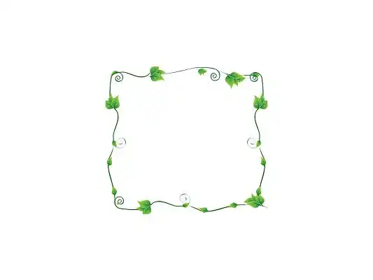 藤蔓边框正方形简约藤蔓边框png素材