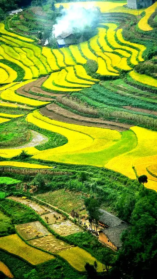 106人在旅途外一首