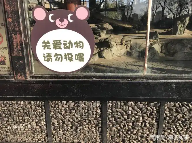 北京动物园家长自带挂面喂猴子后续:电焊封堵缺口