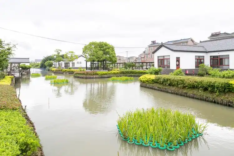 征集活动发布暨苏州市太仓市农村人居环境整治"啄木鸟"工程启动仪式