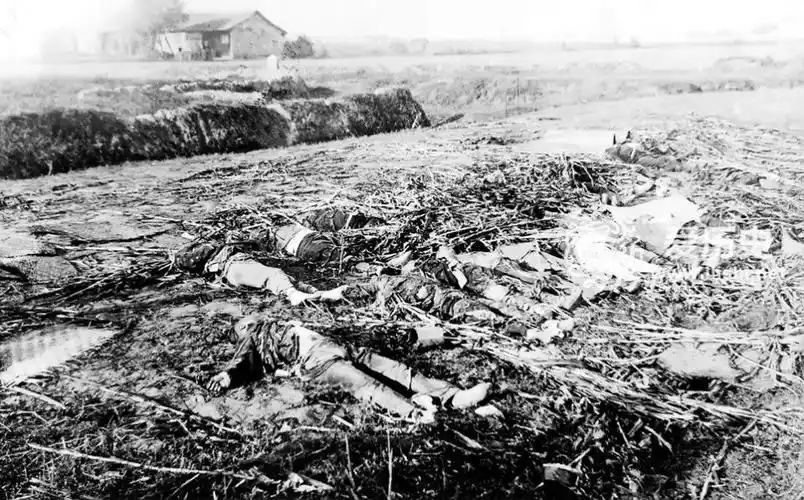 代价最小与和平的武昌起义 城内依然尸横遍野满目疮痍