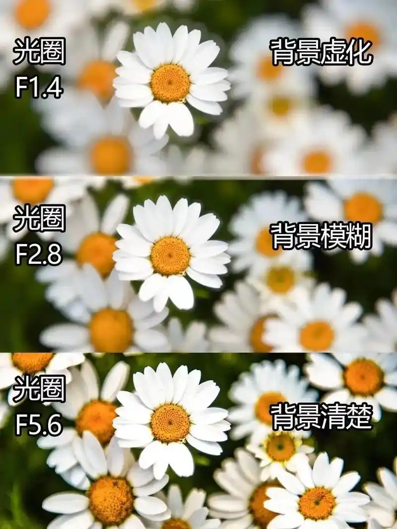 几张图教会你怎么进行背景虚化!#拍照技巧 #知识分享 - 抖音