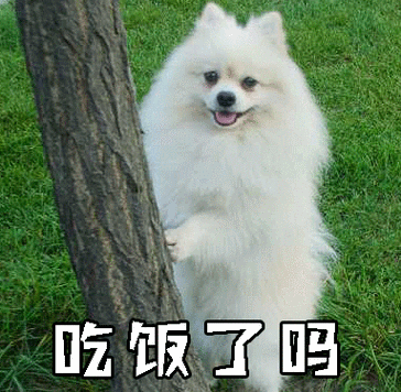 吃饭了吗gif动图_动态图_表情包下载_soogif
