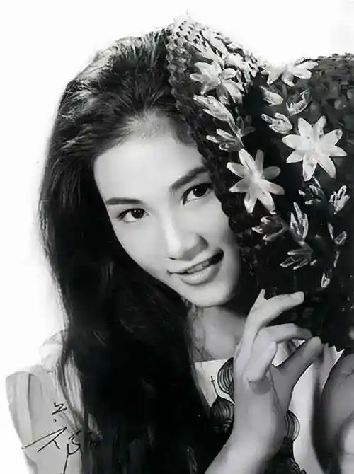 刘亦菲,和被亦舒"欺骗"的女郎们