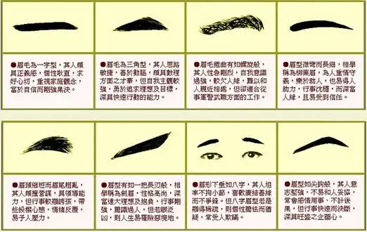 各种眉毛看相