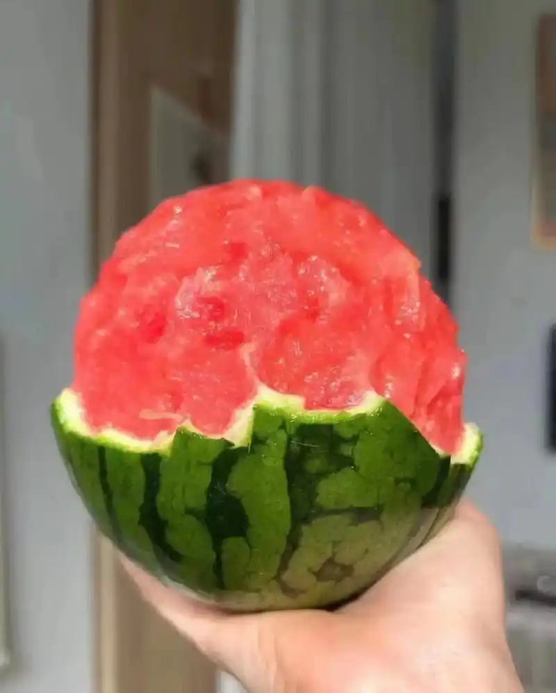 鲜果园水果店.4k甘美,无籽麒麟瓜,现切冰冻西瓜99满意率回 - 抖音
