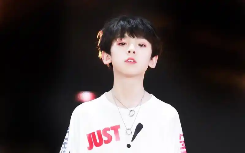 tf家族左航whoknew20190817日月光路演