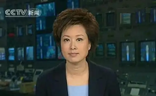 张政老婆颜倩个人资料 离开央视回家专心于相夫教子