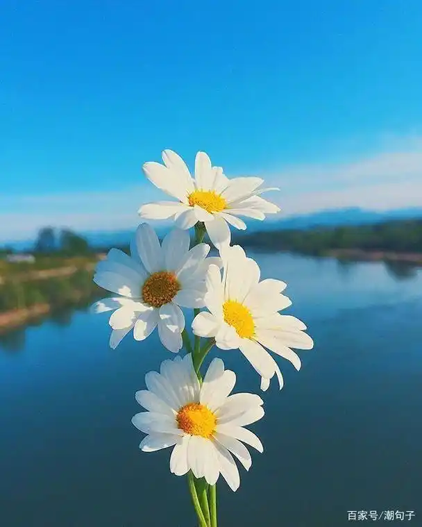 表达心情开朗的句子心情豁达开朗的说说