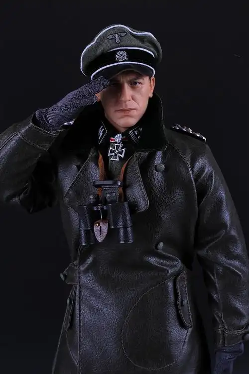 【慢评系列】掷弹兵!did-德国武装党卫军警卫旗队师中校- 装甲迈尔