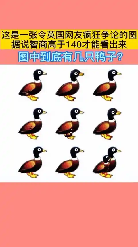 智商高于140才能看出来!