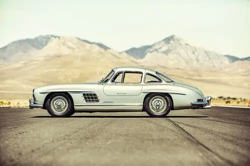 阳光下格外耀眼的奔驰经典款