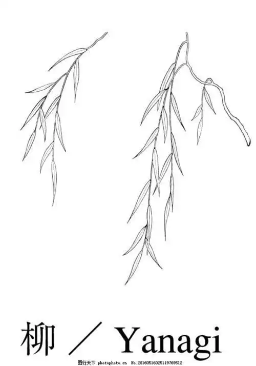 垂柳上的花和草简笔画