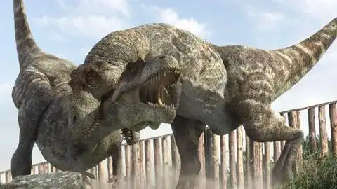 大自然的掠食者 史前主宰—雷克斯暴龙!