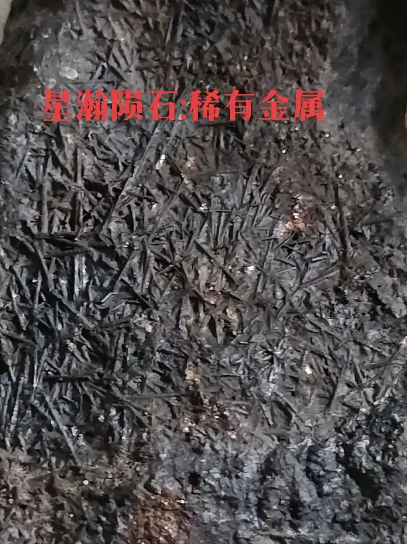 陨石 #稀有金属陨石 :比重大,弱吸磁,内质银白色#原创  - 抖音