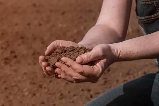 新疆博斯腾湖出现水怪,专家组实地考察时误入巨型怪物圈