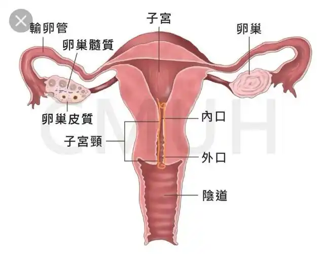 女性朋友需要知道的那些事