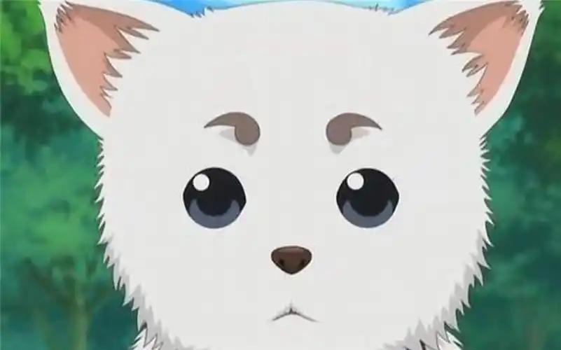 日本动漫银魂吉祥物定春图片(2)