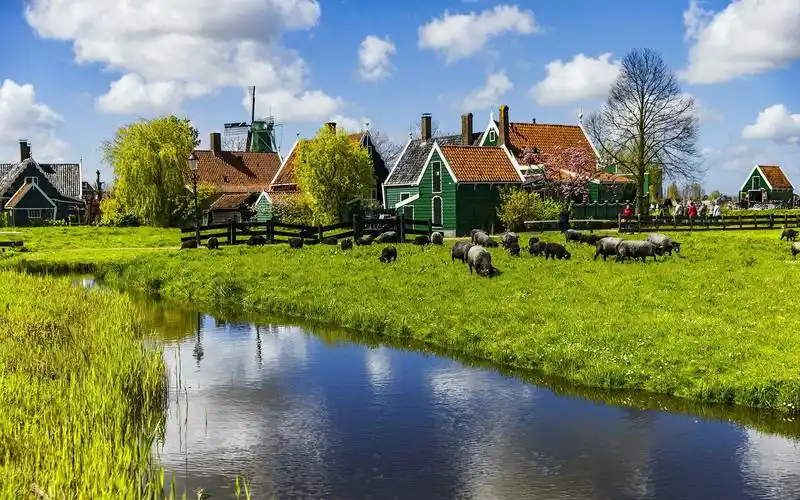 欧洲之旅荷兰篇之一桑斯安斯风车村