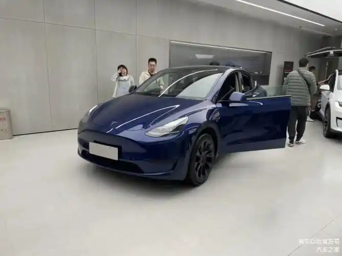 探店特斯拉新车型订单大涨消费者热情不减