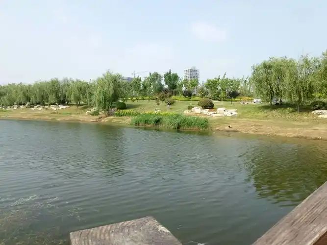 丰县飞龙湖公园