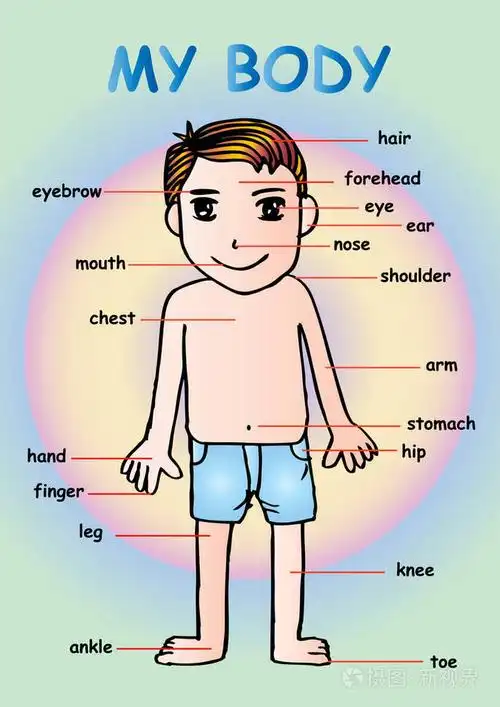 我的身体",为教育信息图形图表孩子显示一个可爱的卡通男孩人体部位照
