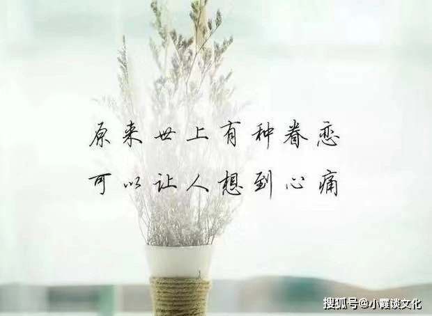 一个人心情低落的伤感句子,心酸无奈,送给身心疲惫的你