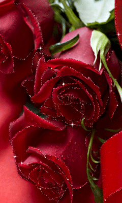 240_400竖版 竖屏gif 动态图 动图