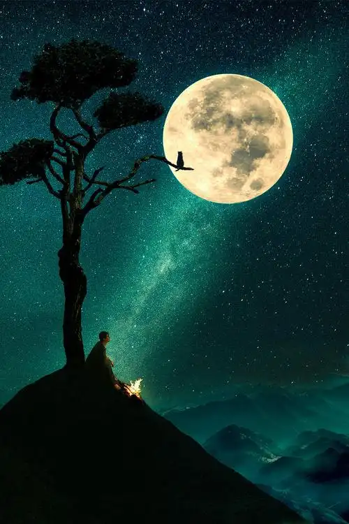 合成月下山顶烤火