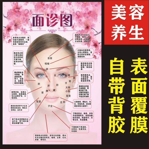 美容院面诊图宣传画海报脸部图解诊断中医养生面部反射区挂图广告