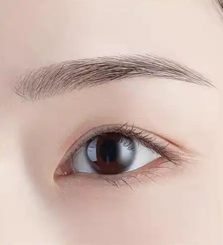 你喜欢什么样的眉形,就代表你有什么样的气质,快看看你是哪种