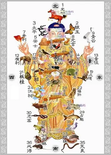 36种动物猜谜大全 36字花