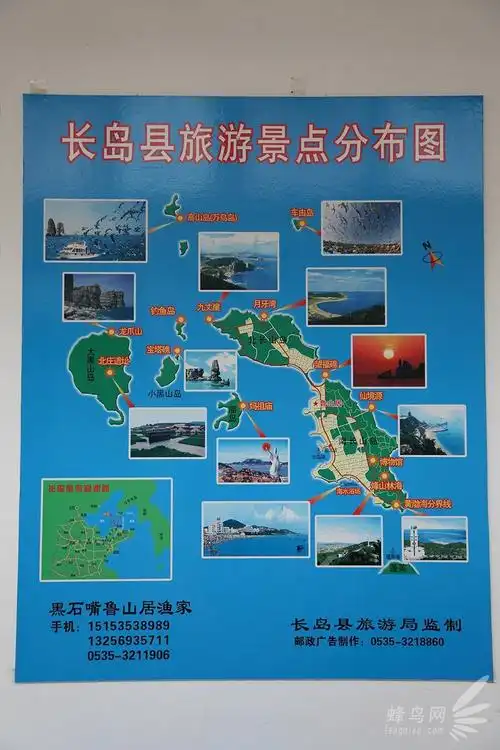 出海喂鸟吃海鲜 山东长岛让你玩到爽