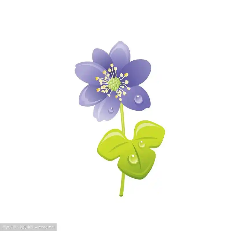 雪莲花花卉图标逼真的卡通