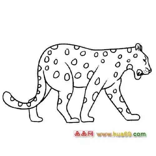 凶猛的豹子简笔画
