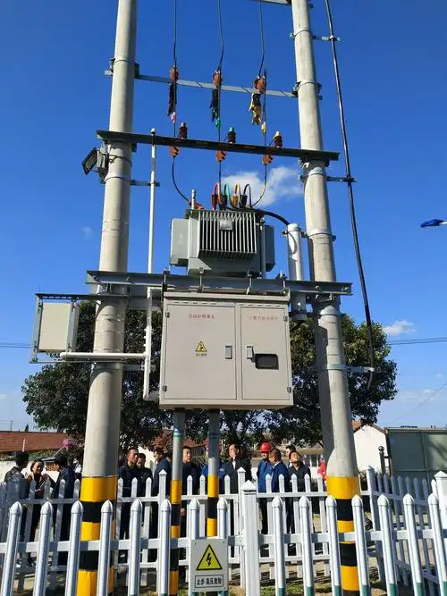 2,变压器中心接地,避雷器接地独立出线安装,便于遥测数据.