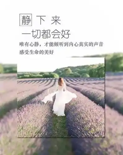 微书架静下来一切都会好