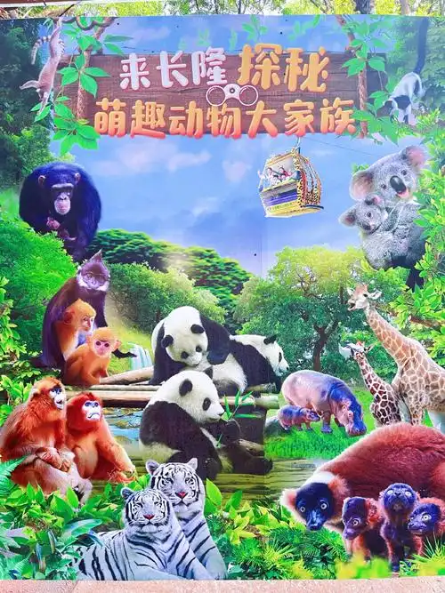 一日游保姆级攻略94长隆野生动物园09暴走2w步    到广州旅游