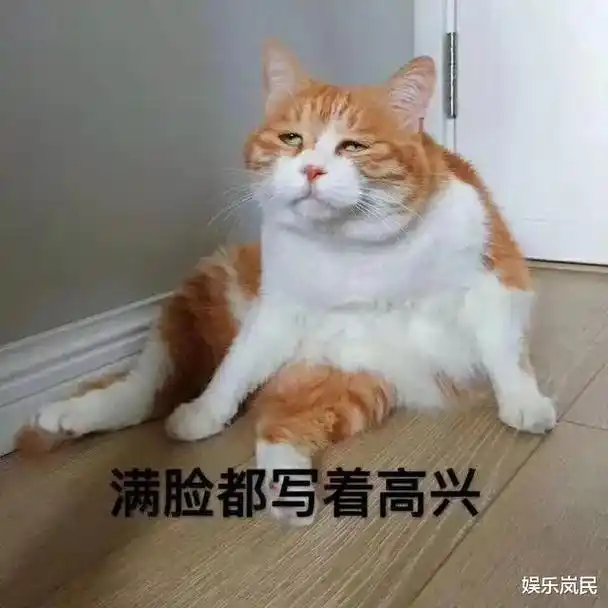 满脸都写着高兴#今天也要开心鸭 #表情包分享 #表情包分享  - 抖音