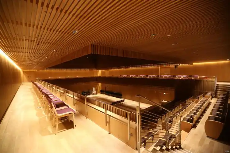 siav影音俱乐部第二十六次活动