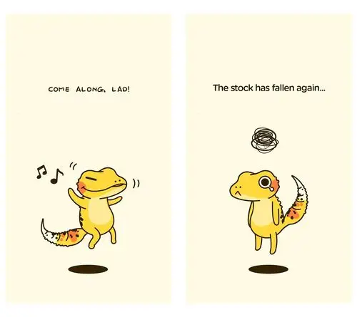 geckohomies小守宫的日常单幅